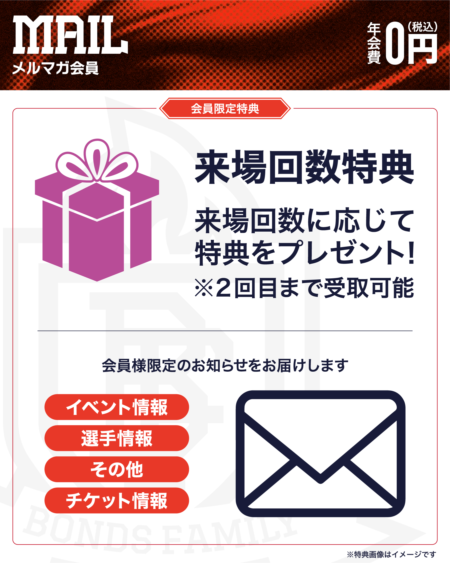 メルマガ会員