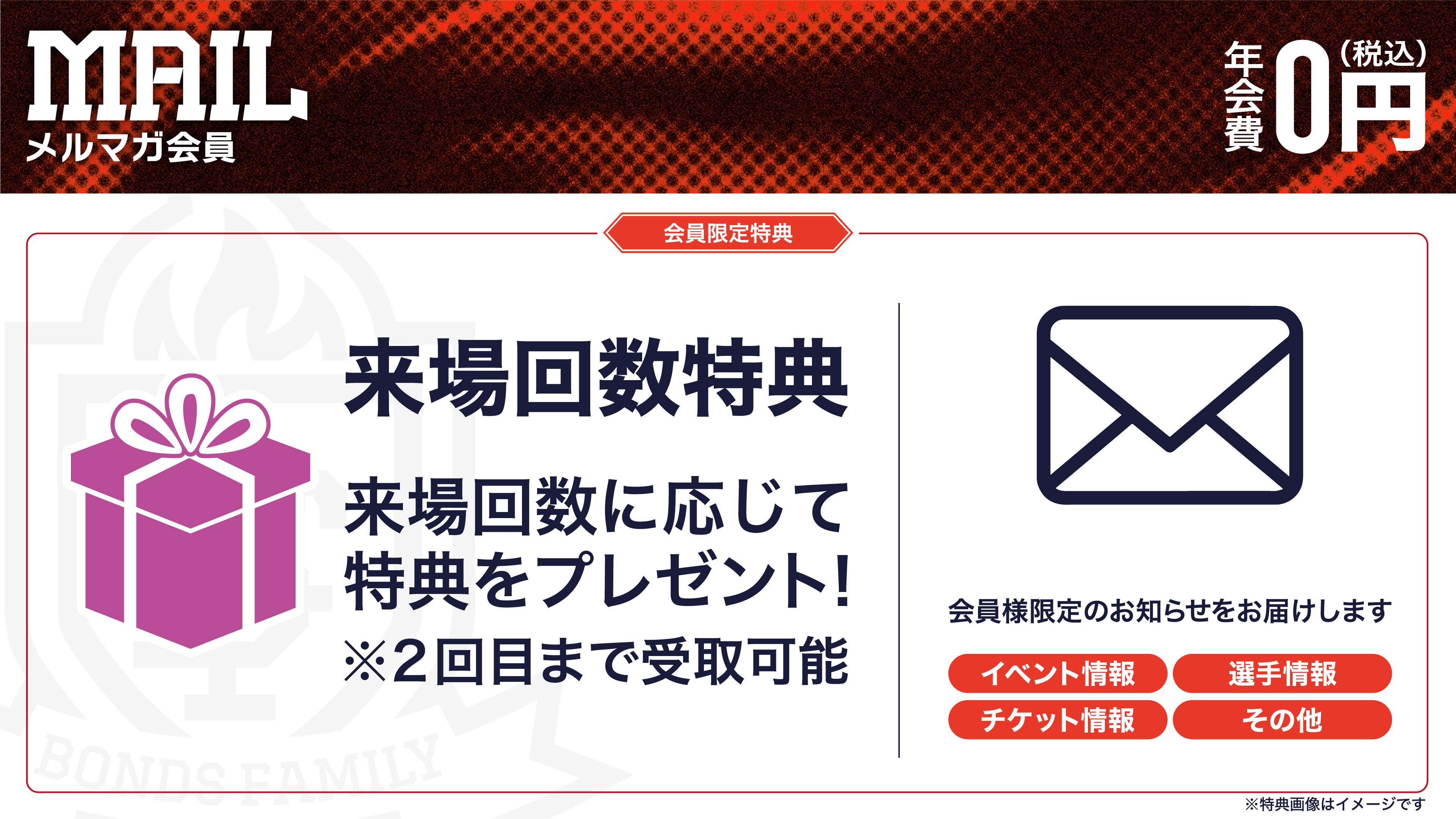 メルマガ会員