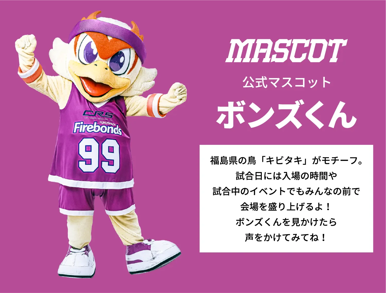 公式マスコット ボンズくん:福島県の鳥「キビタキ」がモチーフ。試合日には入場の時間や試合中のイベントでもみんなの前で会場を盛り上げるよ!ボンズくんを見かけたら声をかけてみてね!