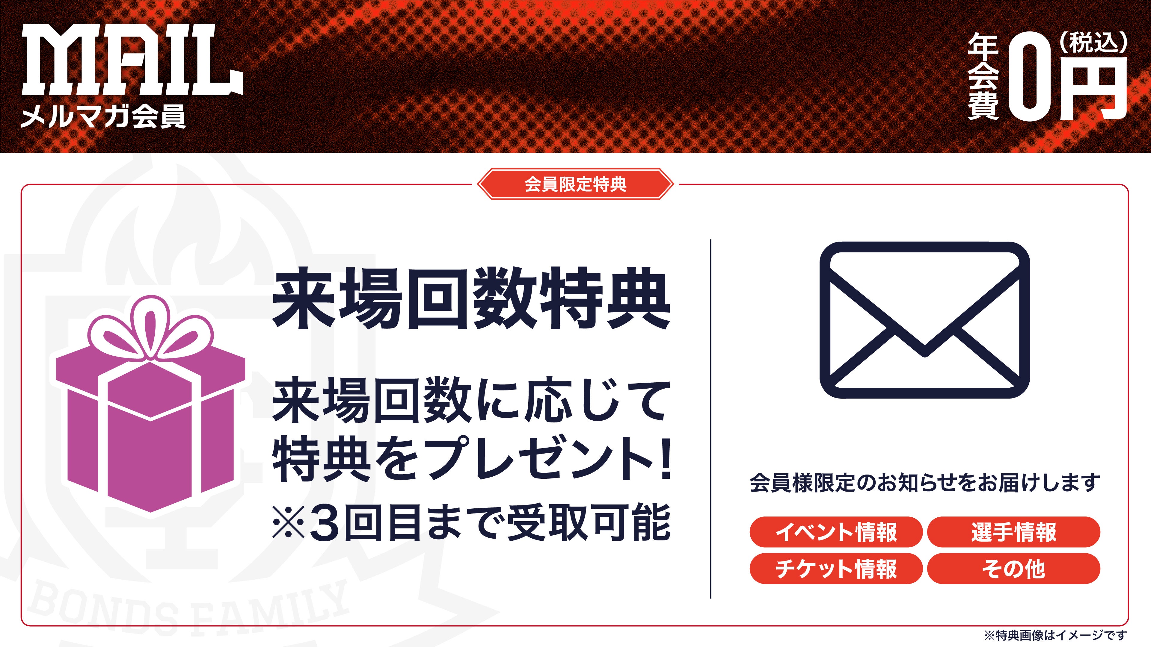 メルマガ会員